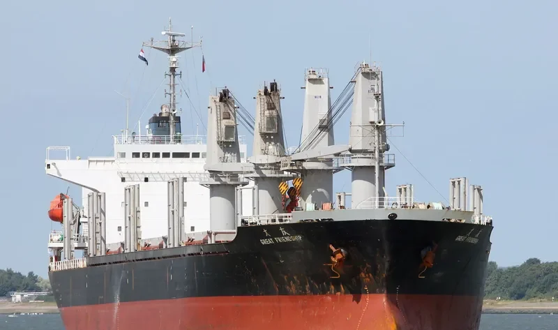 GREAT FRIENDSHIP Bulk Carrier IMO 9173020 photo 4