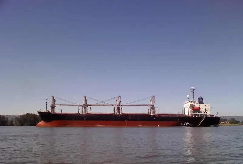 GREAT FRIENDSHIP Bulk Carrier IMO 9173020 photo 9