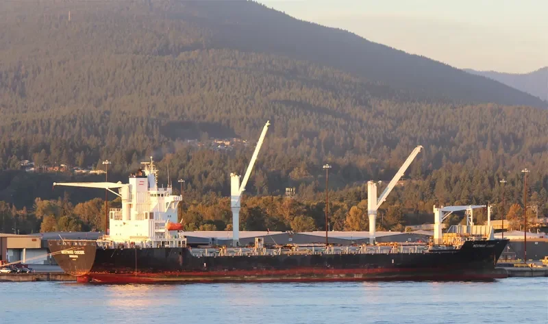 THORSWIND Container Ship IMO 9173135 photo 5
