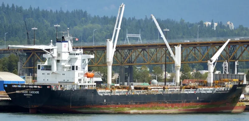 THORSWIND Container Ship IMO 9173135 photo 6