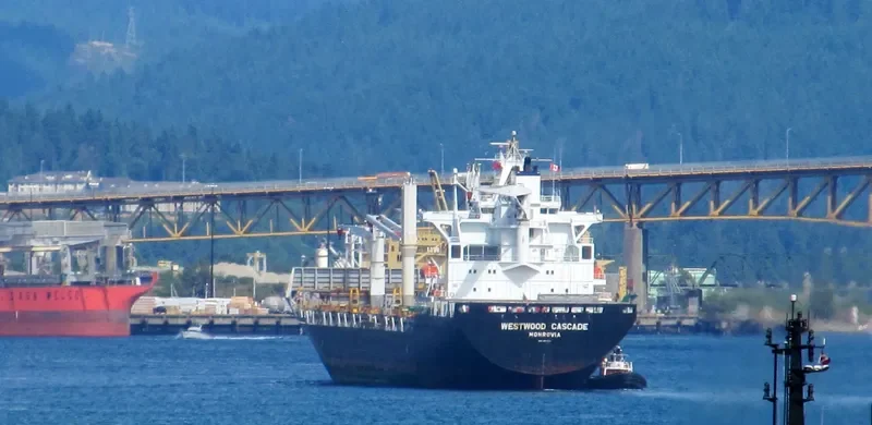 THORSWIND Container Ship IMO 9173135 photo 8