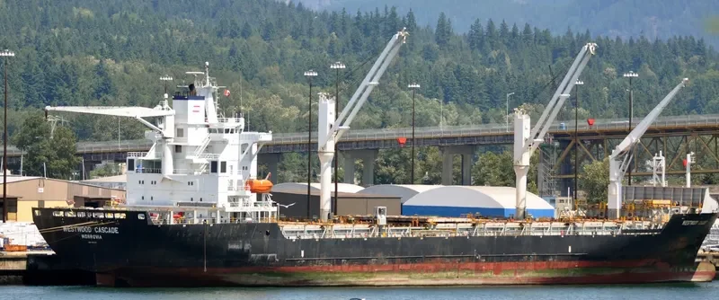 THORSWIND Container Ship IMO 9173135 photo 9