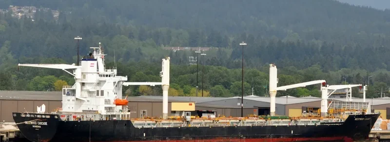 THORSWIND Container Ship IMO 9173135 photo 10