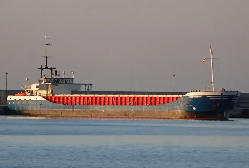 TRUFFALDINO General Cargo IMO 9173197 photo 3