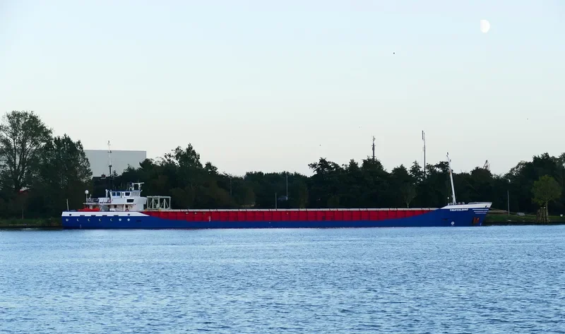 TRUFFALDINO General Cargo IMO 9173197 photo 4