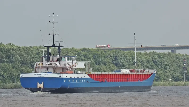 TRUFFALDINO General Cargo IMO 9173197 photo 10