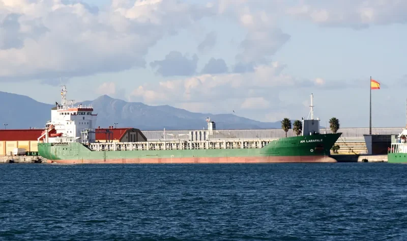 AM LARAFALE General Cargo IMO 9173226 photo 6