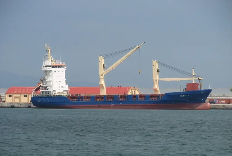 PACIFIC EXPRESS General Cargo IMO 9173343 photo 10