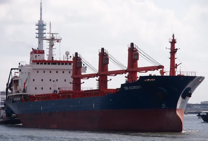 GOLDEN SEA Bulk Carrier IMO 9173355 photo 6