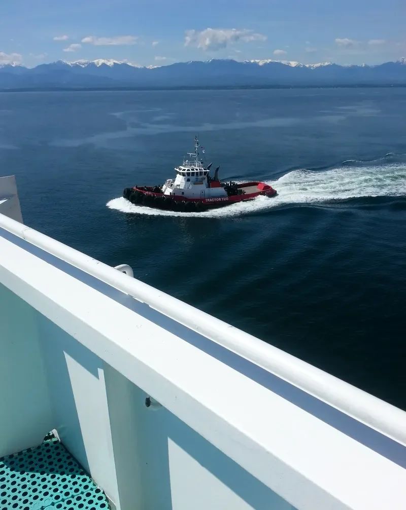 SAM General Cargo IMO 9173496 photo 7