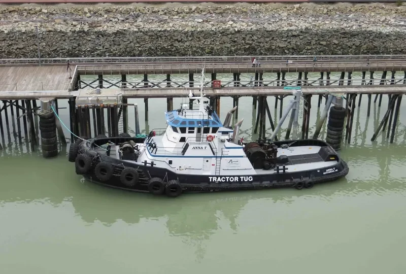 ANNA T General Cargo IMO 9173501 photo 9