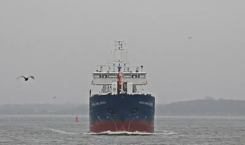 HAGLAND BORG General Cargo IMO 9173563 photo 5