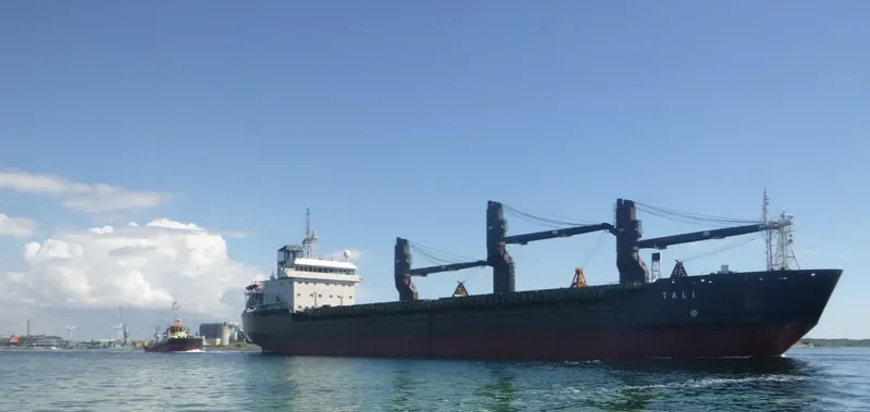 TALI General Cargo IMO 9173692 photo 8