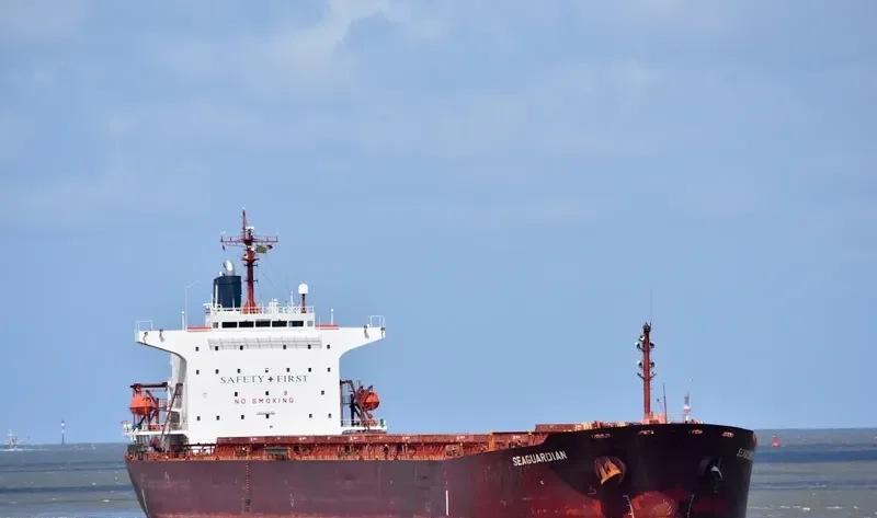 SEAGUARDIAN Bulk Carrier IMO 9174268 photo 2