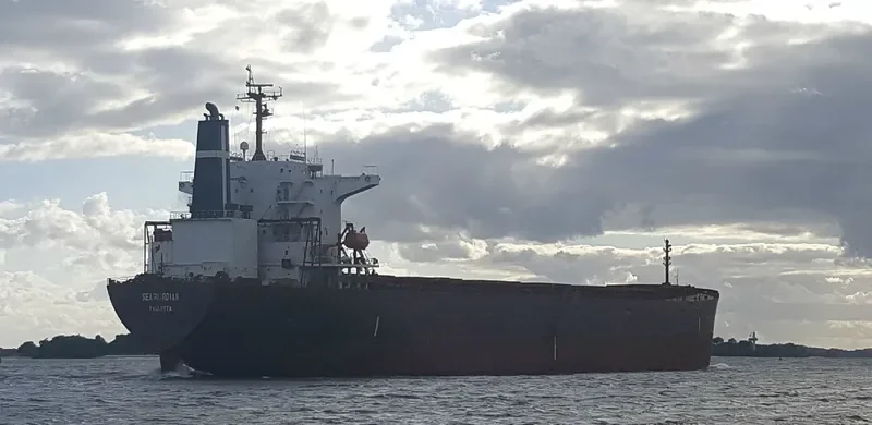 SEAGUARDIAN Bulk Carrier IMO 9174268 photo 3
