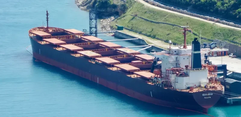 SEAGUARDIAN Bulk Carrier IMO 9174268 photo 8
