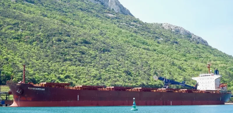 SEAGUARDIAN Bulk Carrier IMO 9174268 photo 9