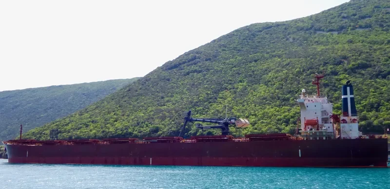 SEAGUARDIAN Bulk Carrier IMO 9174268 photo 10