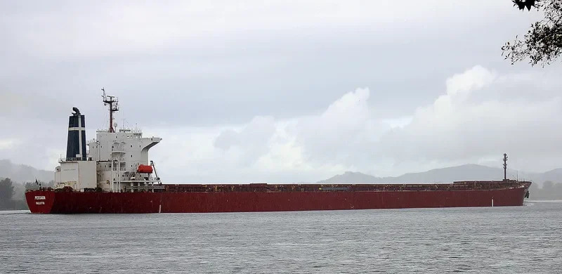 PESSADA Bulk Carrier IMO 9174270 photo 2
