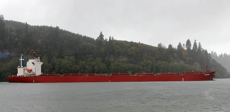 PESSADA Bulk Carrier IMO 9174270 photo 3