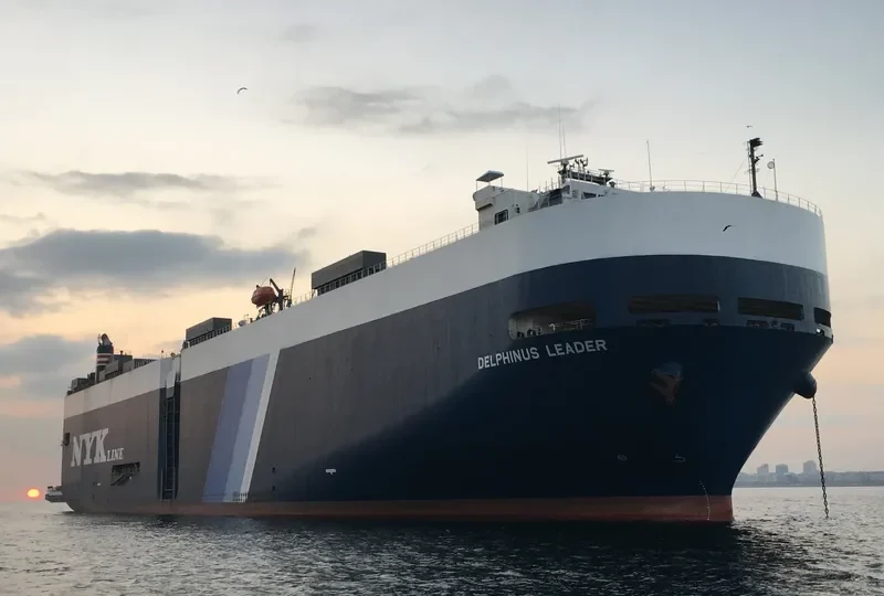 DELPHINUS LEADER General Cargo IMO 9174282