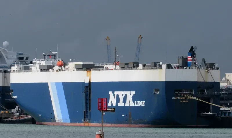 DELPHINUS LEADER General Cargo IMO 9174282 photo 3