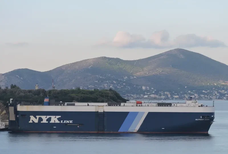 DELPHINUS LEADER General Cargo IMO 9174282 photo 5
