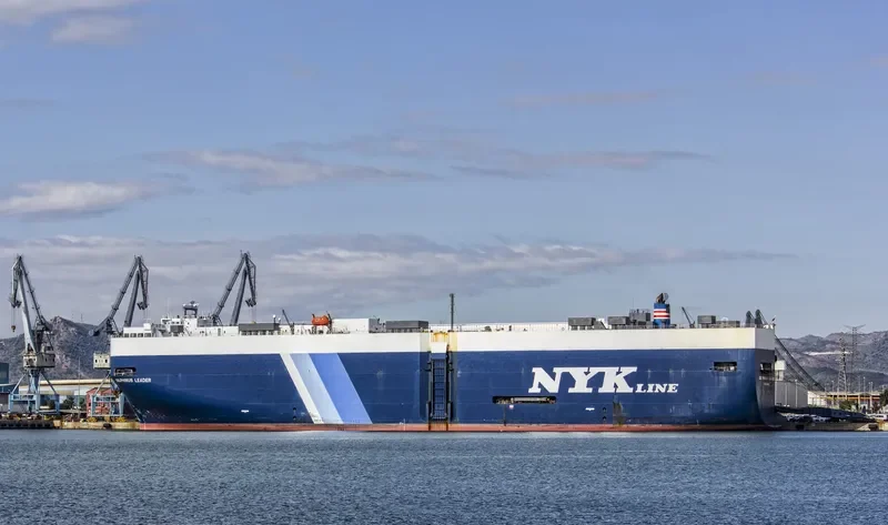DELPHINUS LEADER General Cargo IMO 9174282 photo 9