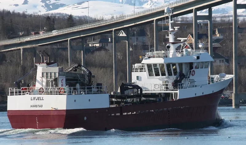 VIKING SAGA General Cargo IMO 9174476 photo 5