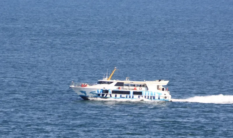 WATERFRONT1 Passenger Ship IMO 9174517 photo 5