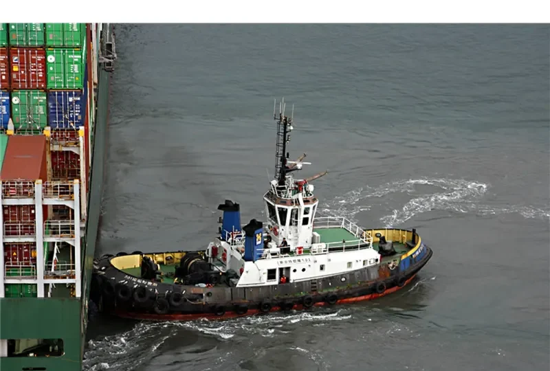 SING YANG General Cargo IMO 9174593 photo 5