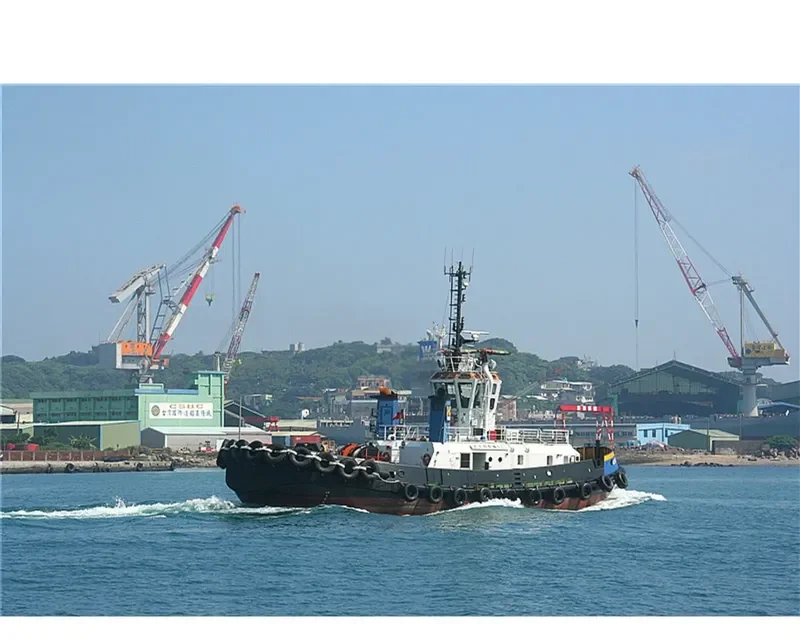 SING YANG General Cargo IMO 9174593 photo 7