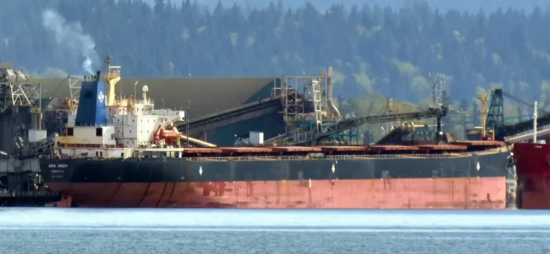 AGIA SKEPI Bulk Carrier IMO 9174634 photo 2