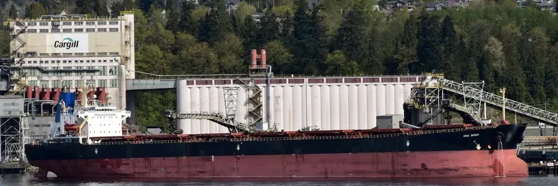 AGIA SKEPI Bulk Carrier IMO 9174634 photo 3