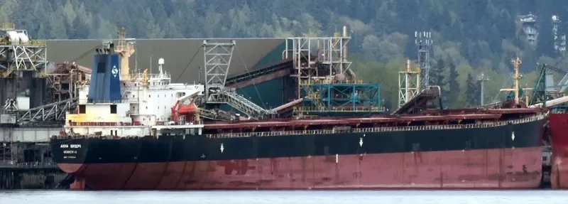 AGIA SKEPI Bulk Carrier IMO 9174634 photo 4