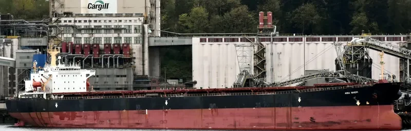 AGIA SKEPI Bulk Carrier IMO 9174634 photo 5