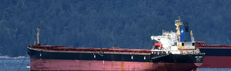 AGIA SKEPI Bulk Carrier IMO 9174634 photo 6