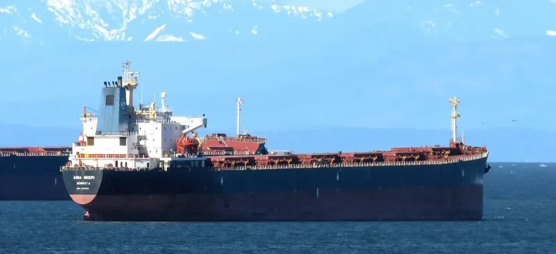 AGIA SKEPI Bulk Carrier IMO 9174634 photo 8