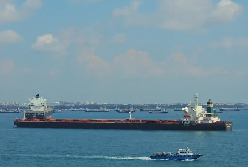 ORE GUAIBA Bulk Carrier IMO 9174646 photo 3