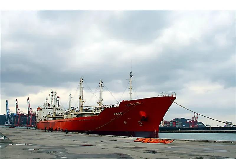 MARTA REEFER General Cargo IMO 9174701 photo 6