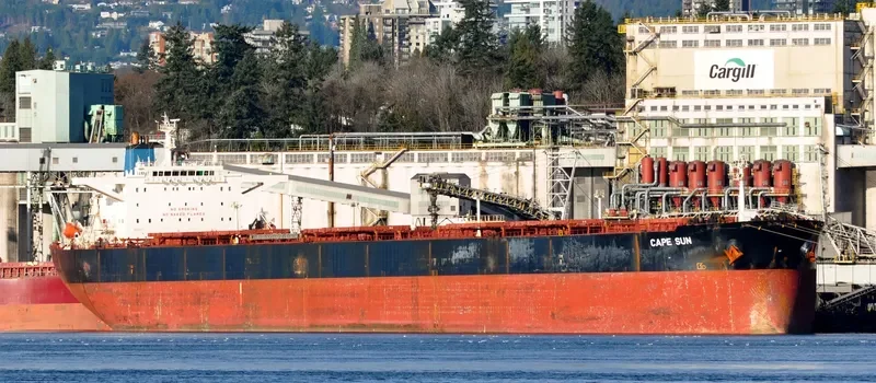 CAPE SUN Bulk Carrier IMO 9174725 photo 6