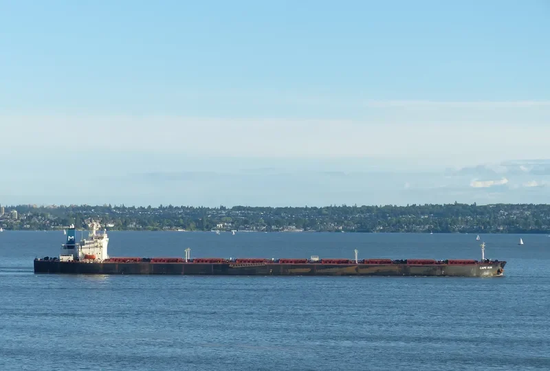 CAPE SUN Bulk Carrier IMO 9174725 photo 7