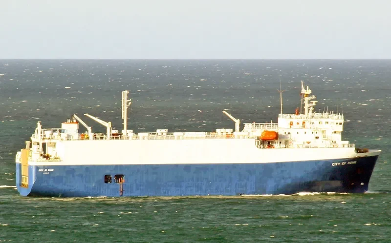 ORCHID General Cargo IMO 9174763 photo 6