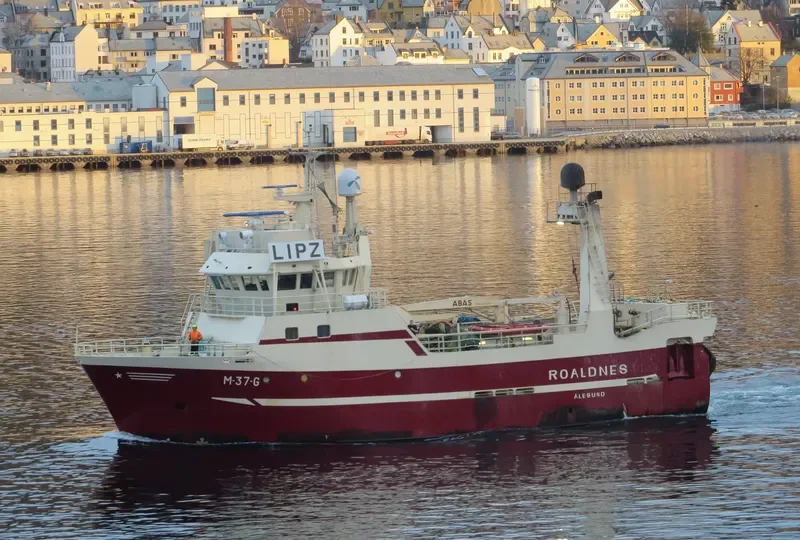 ROALDNES General Cargo IMO 9175030 photo 4