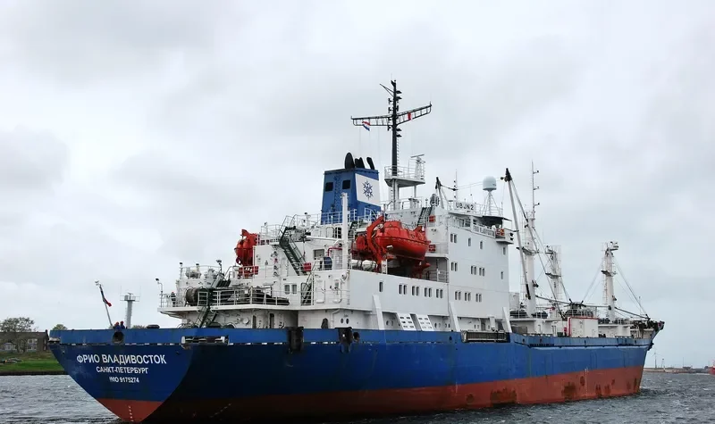 SEA REEFER General Cargo IMO 9175274 photo 2