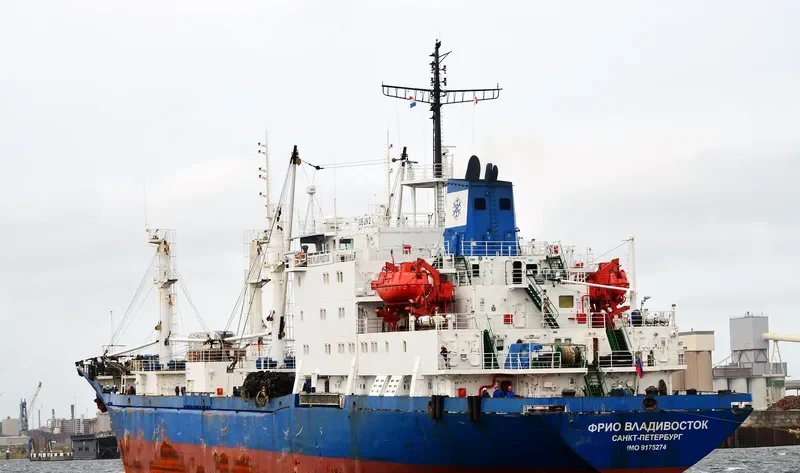 SEA REEFER General Cargo IMO 9175274 photo 3