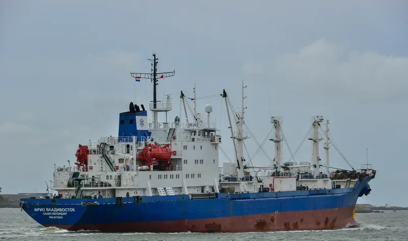 SEA REEFER General Cargo IMO 9175274 photo 6