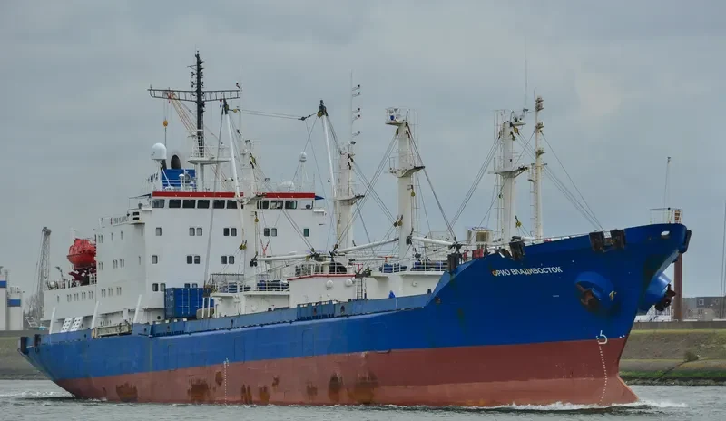 SEA REEFER General Cargo IMO 9175274 photo 7