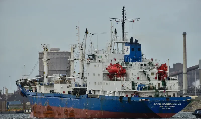 SEA REEFER General Cargo IMO 9175274 photo 8