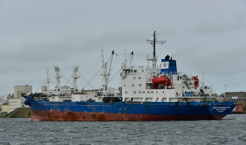 SEA REEFER General Cargo IMO 9175274 photo 9